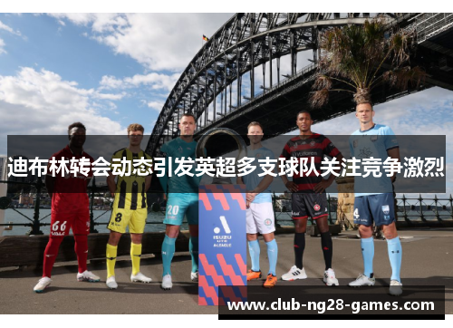 迪布林转会动态引发英超多支球队关注竞争激烈 迪布林转会动态引发英超多支球队关注竞争激烈